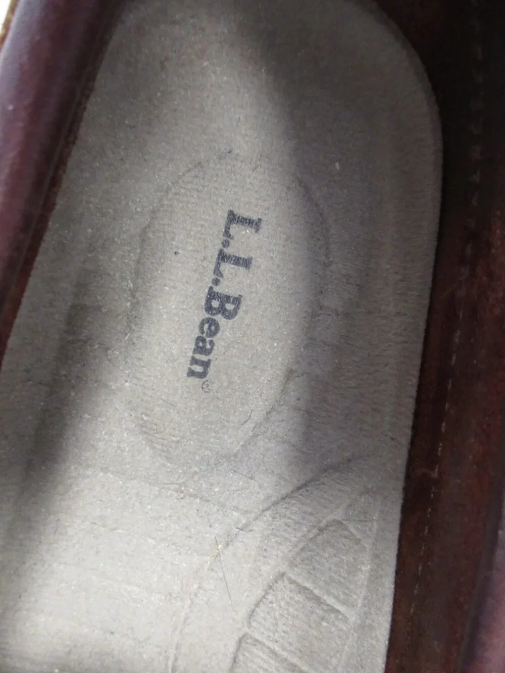 L.L. Bean brand bean